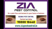 Pest Control Service for Bed Bugs with Up to 50% Off Residential